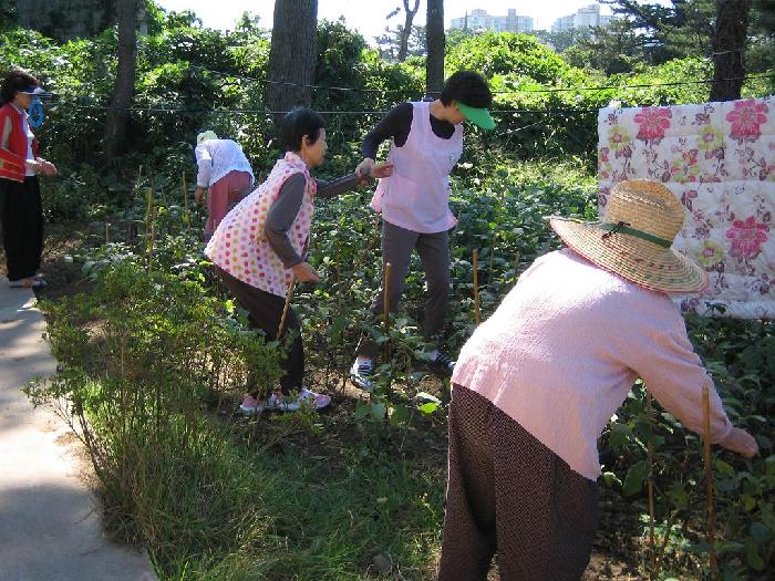 성심노인요양원 이미지 5