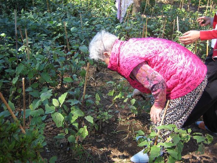 성심노인요양원 이미지 22