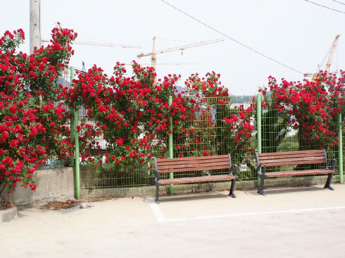 목포노인전문요양원 이미지 7