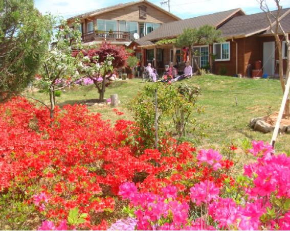 예인요양원 이미지 11