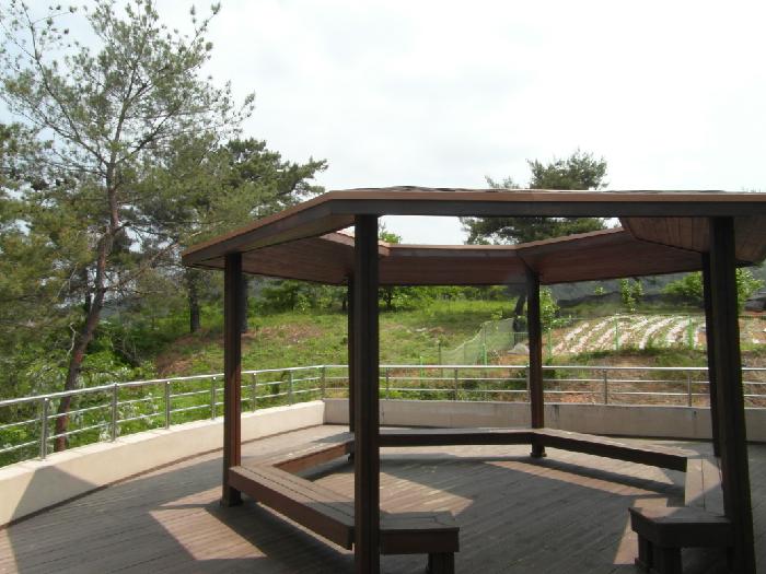 진주성모요양원 이미지 12