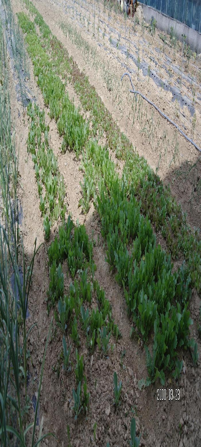 삼호소규모노인종합센터 이미지 11