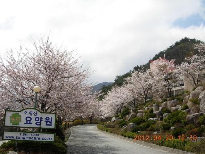 오대산성모요양원 이미지 16