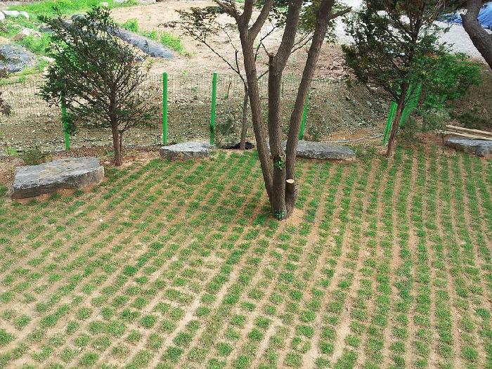 우리노인요양원(녹양) 이미지 24