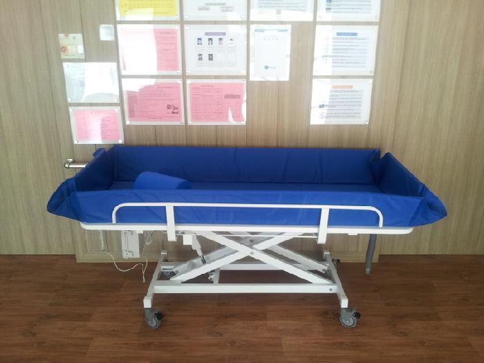 느티나무 이미지 8