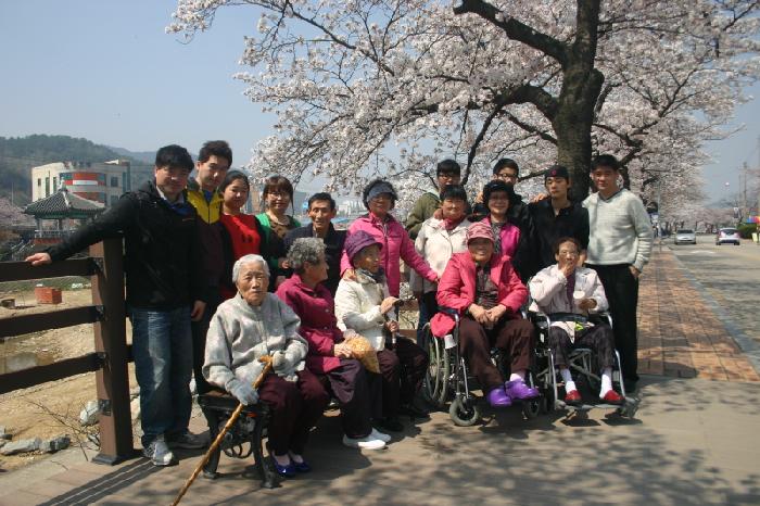 느티나무 이미지 7