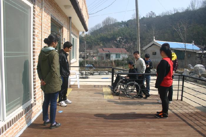 느티나무 이미지 6