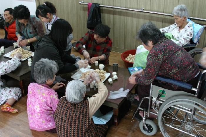 느티나무 이미지 2