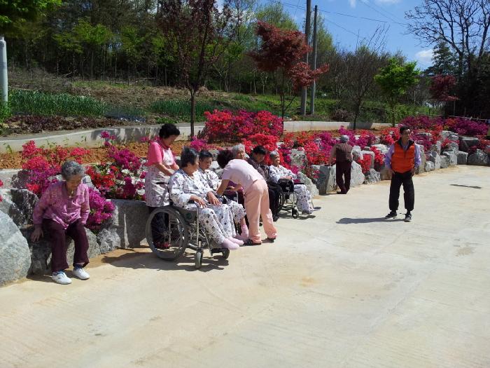 느티나무 이미지 15