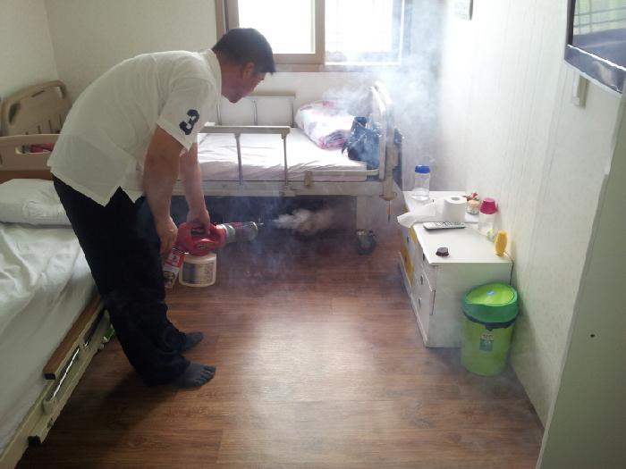 느티나무 이미지 14