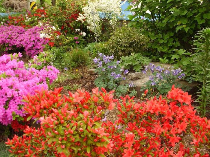 만민의집 이미지 15