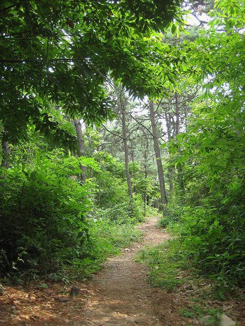 자비요양원 이미지 2