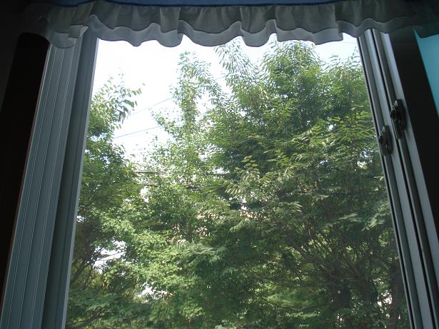 새순노인요양공동생활가정 이미지 18