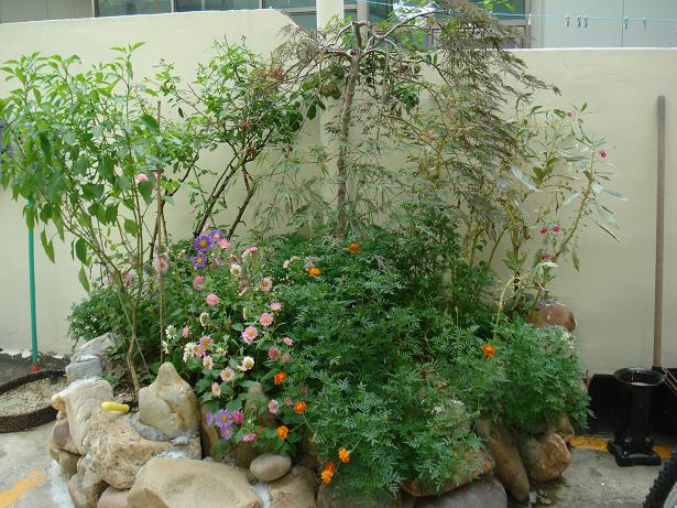 새순노인요양공동생활가정 이미지 17