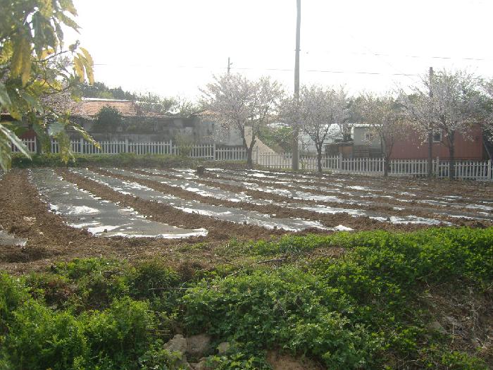 청해요양원 이미지 12