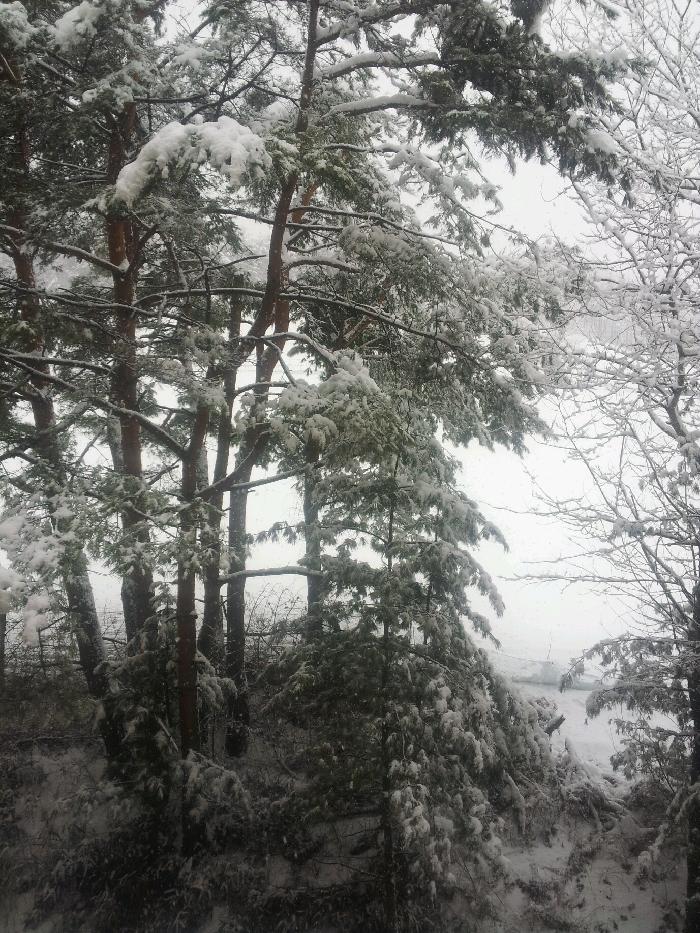 태백시실버요양원 이미지 5