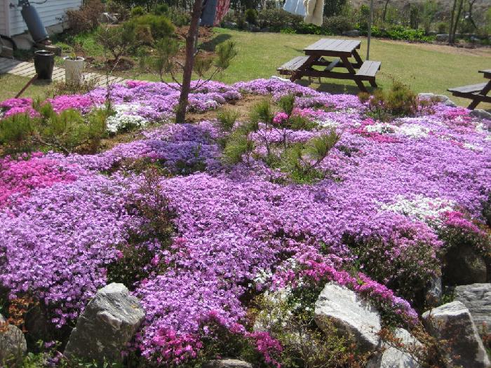 에덴동산요양원 이미지 5