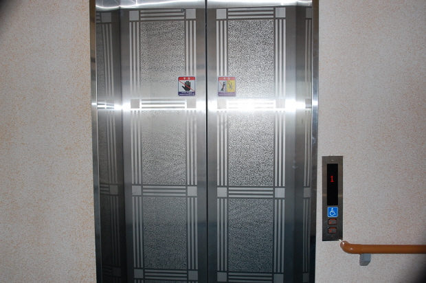 정겨운 뜰안 이미지 13