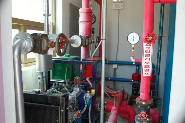 정겨운 뜰안 이미지 12