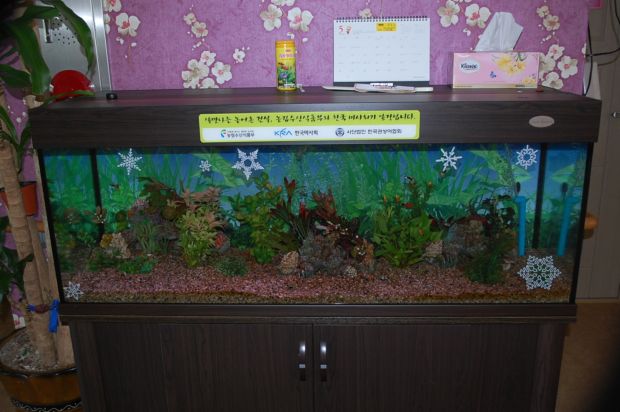 정겨운 뜰안 이미지 8