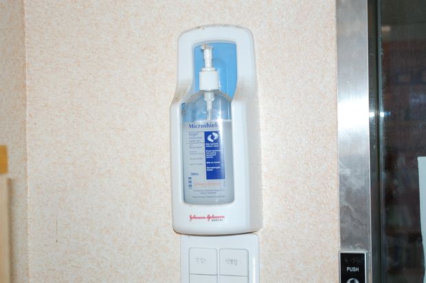 정겨운 뜰안 이미지 7