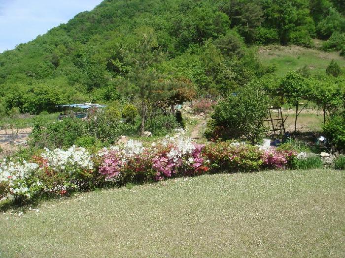 호산나요양원 이미지 15