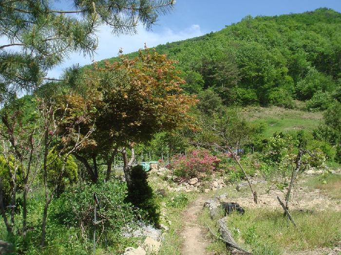 호산나요양원 이미지 14