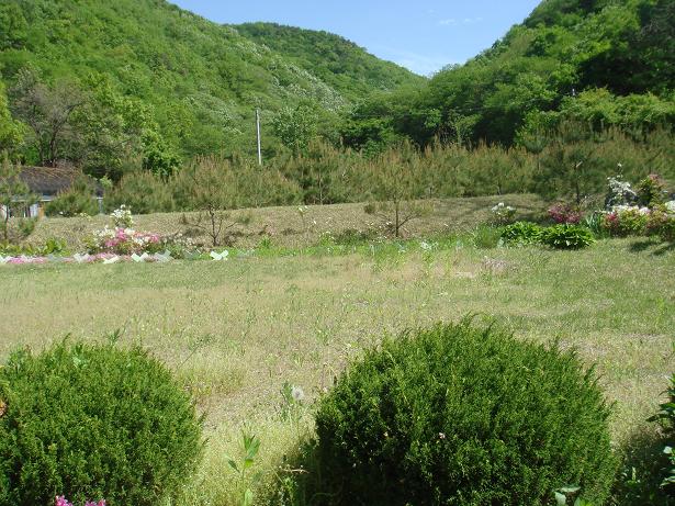 호산나요양원 이미지 12