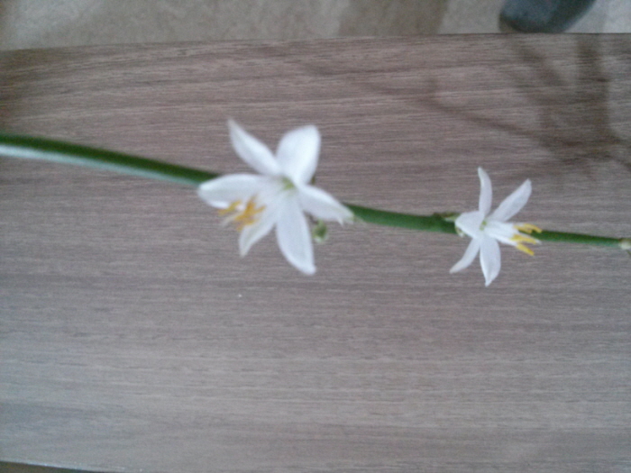 엘림요양원 이미지 2