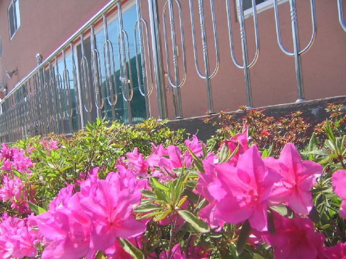 김해늘푸른요양원