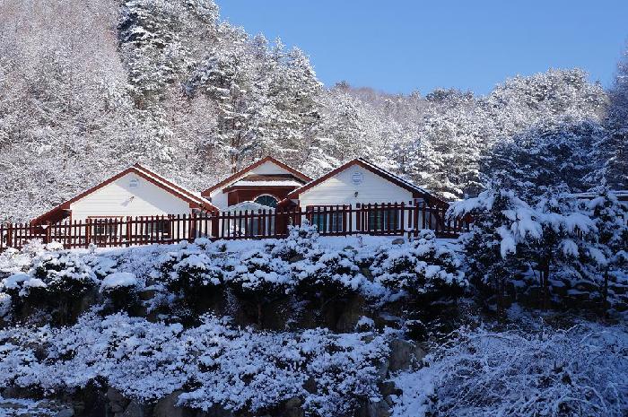 정선효도마을 이미지 30