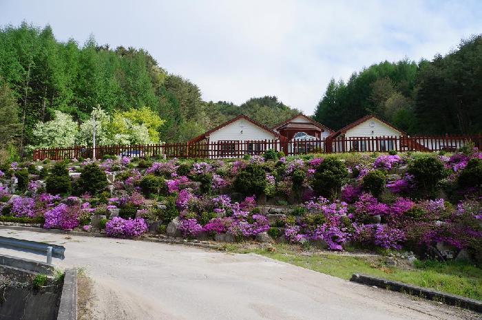 정선효도마을 이미지 29