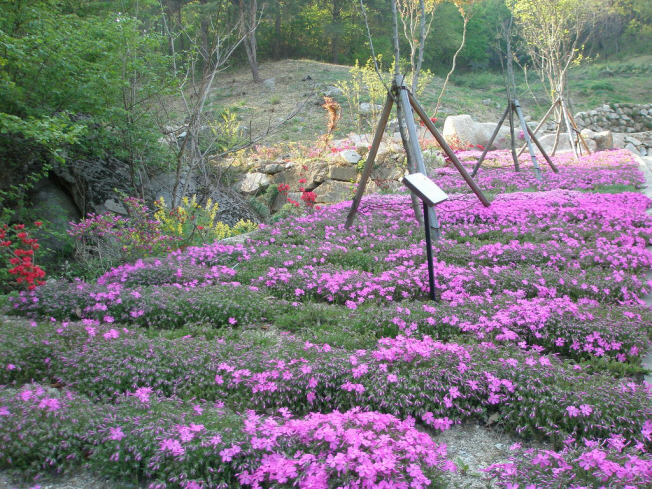 성산사랑마을 이미지 29