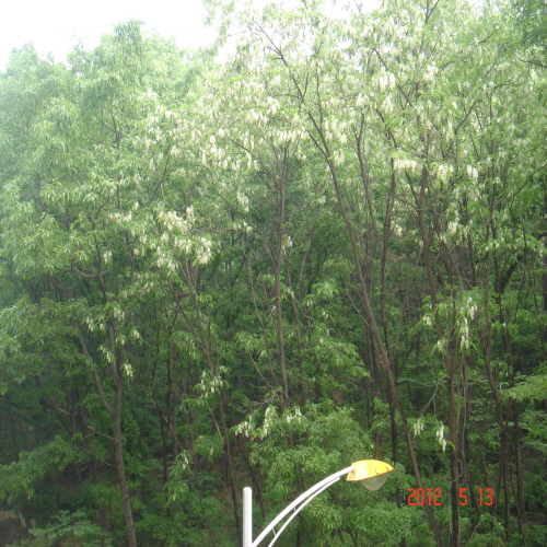 당산나무요양원 이미지 4