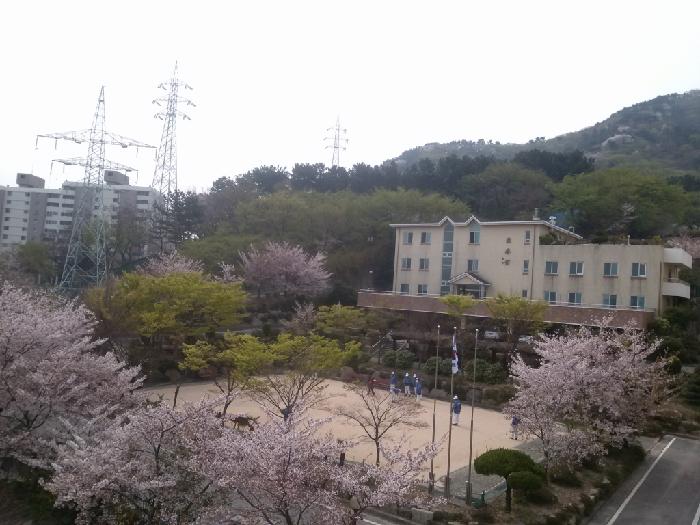 흰돌요양센터(목제관) 이미지 8