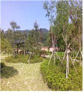 실버랜드 이미지 20