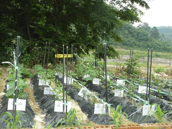 효성요양원 이미지 2