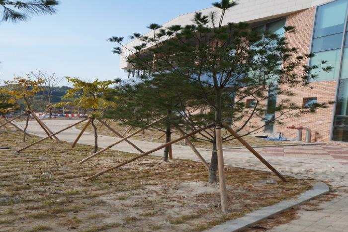 대전보훈요양원 이미지 9