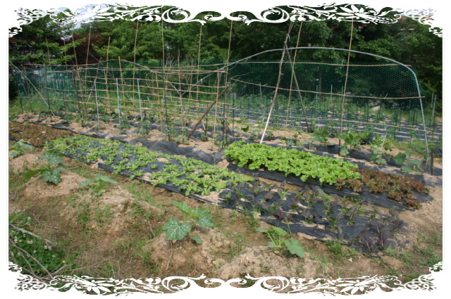 행복한 집 이미지 22