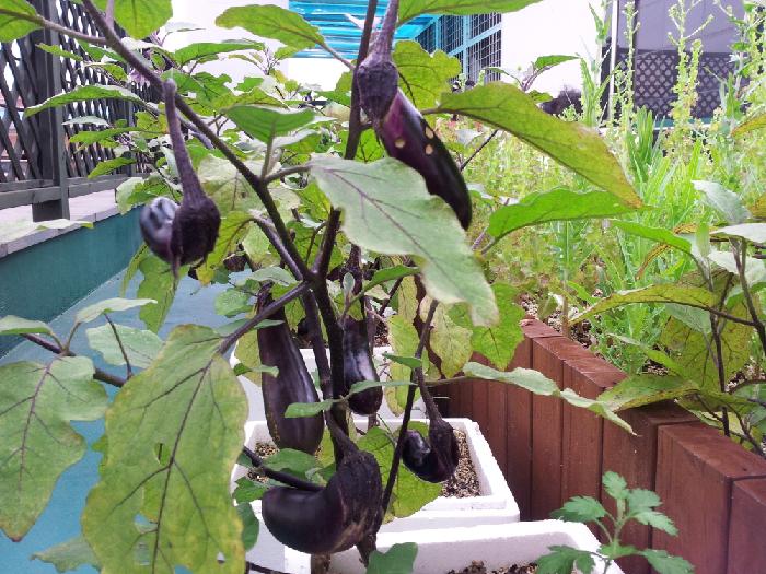 늘편한요양센터2호 이미지 19