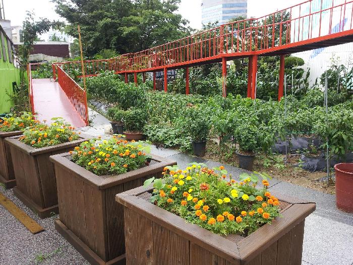 효드림실버홈 이미지 24