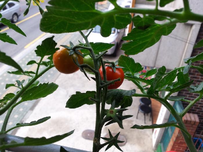 늘편한요양센터2호 이미지 30