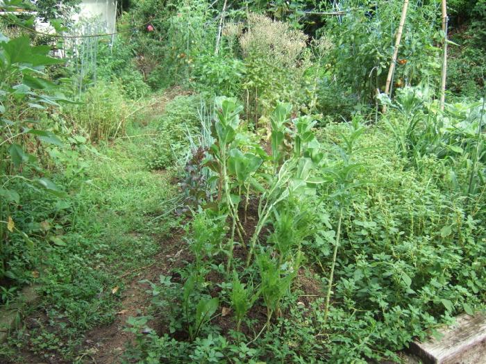 나오미행복한집 이미지 3