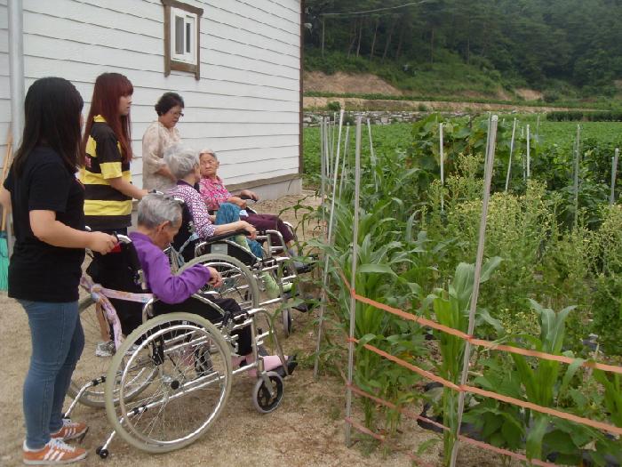 영주실버마을 이미지 17