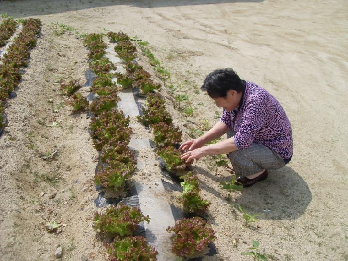 영주실버마을 이미지 16