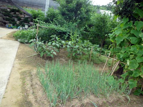 둥지요양원 이미지 14