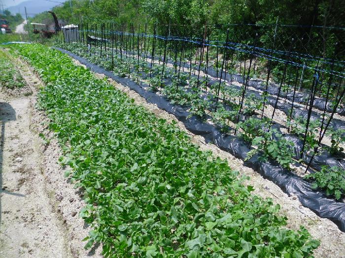 사랑가득요양원 이미지 9