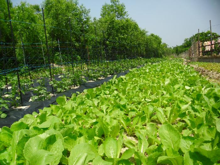 사랑가득요양원 이미지 8