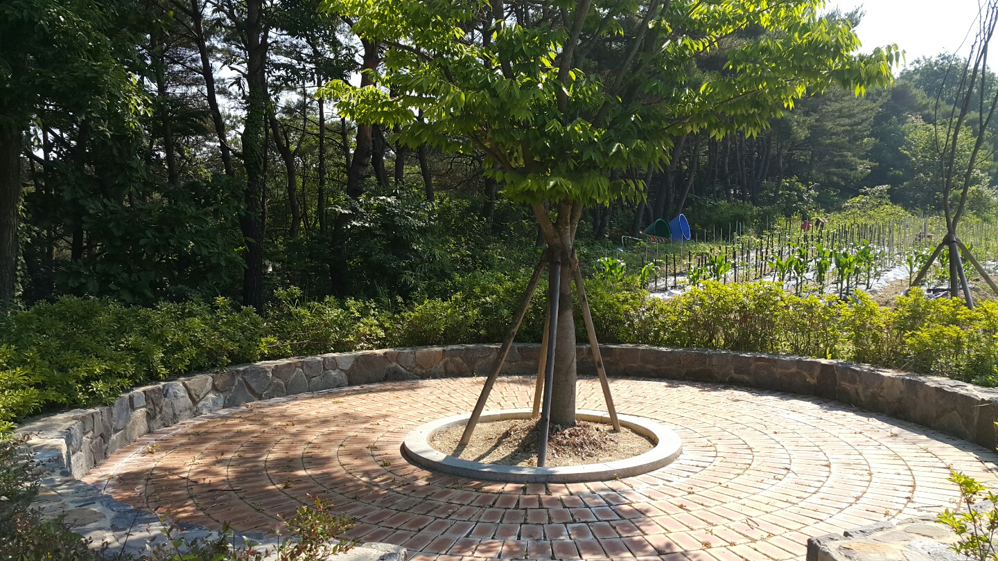 효성노인건강센터 이미지 12