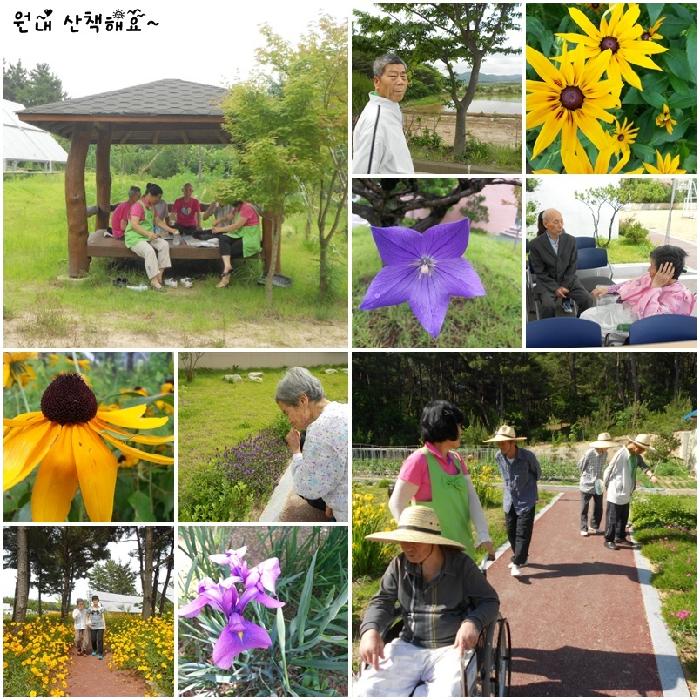 엘림 실버빌 이미지 11